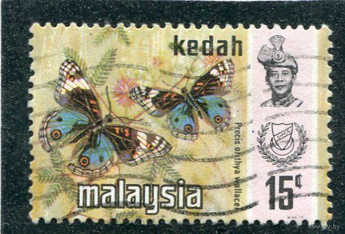 Малазийские штаты. Кедах. Бабочки
