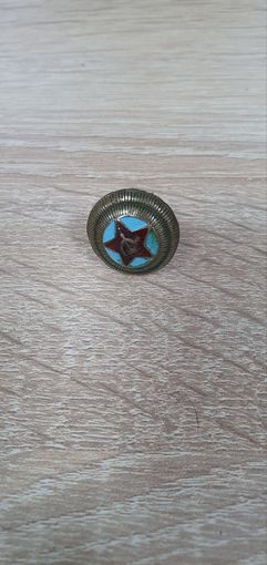 Латунный советский накладной знак  на лётную кокарду с ВОССТАНОВЛЕННЫМИ "усами".
