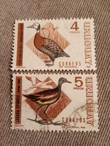 Уругвай 1968. Болотные птицы