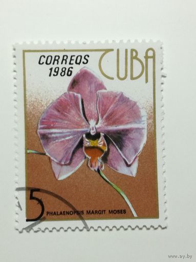Куба 1986. Орхидеи