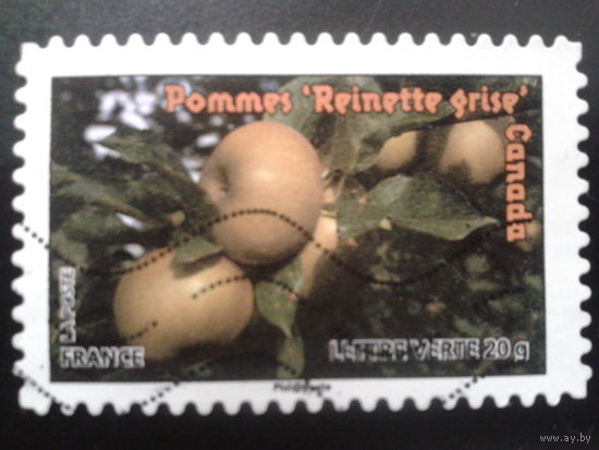 Франция 2012 яблоки