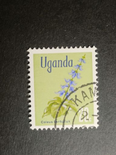 Уганда 1969. Флора
