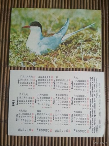 Карманный календарик.1985 год. Полярная крачка