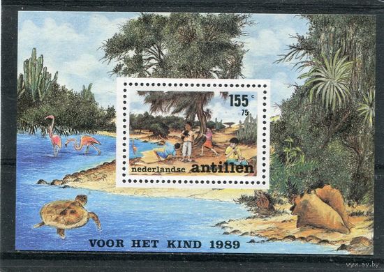 Нидерландские Антильские острова. Молодежные организации, блок