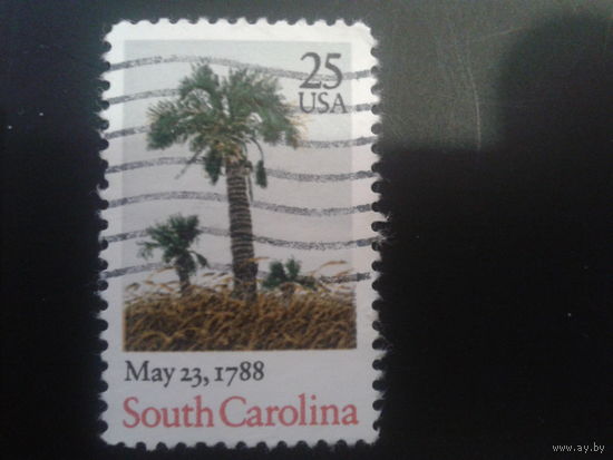 США 1988 пальмы