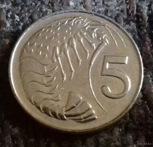 5 центов, Каймановы острова 2008 г.