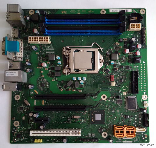 Fujitsu D3161-A12 GS 3  (LGA1155) + Pentium G2020