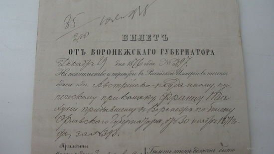 Паспорт ( билет ) 1876 г.