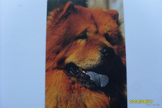 Календарик "Собаки"  на 1991 год 2 разных