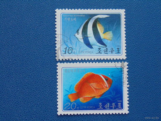 Корея 1986г. Морская фауна.