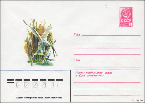 Художественный маркированный конверт СССР N 14522 (14.08.1980) [Колпица]