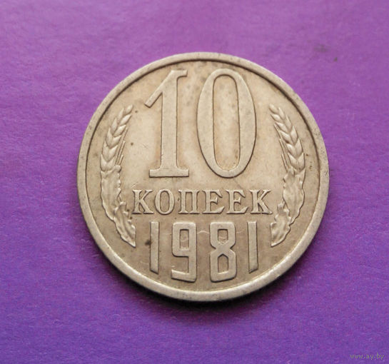 10 копеек 1981 СССР #07