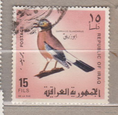 Птицы  Фауна  Ирак 1968 год лот 1007