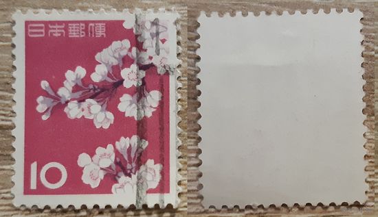 Япония 1961 Фауна, флора и культурное наследие. Цветение вишни