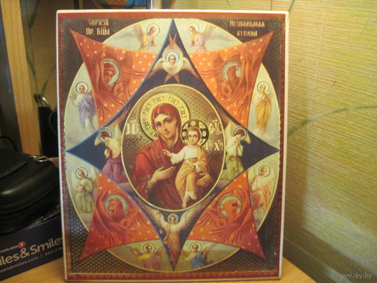 Икона Образ Пресвятой Богородицы Неопалимая Купина.