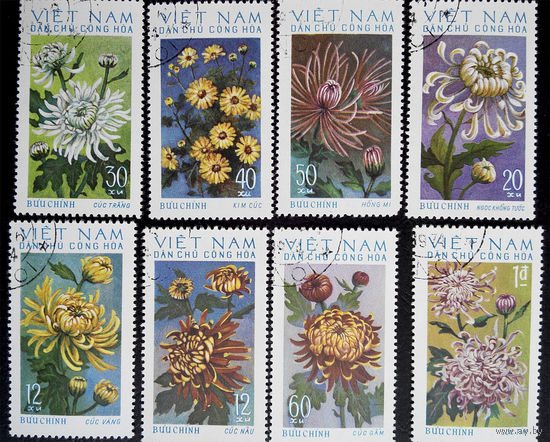 Вьетнам 1974 г. Цветы. Хризантемы, полная серия из 8 марок #0116-Ф1