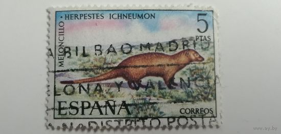 Испания 1972. Животные