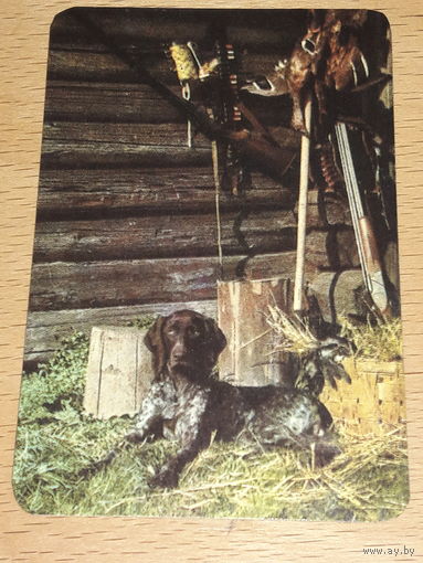 Календарик 1977 Охотничья собака