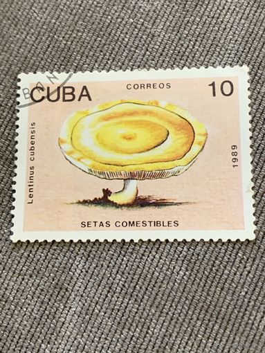 Куба 1989. Грибы. Марка из серии