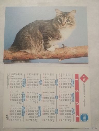 Карманный календарик. Котик.1994 год