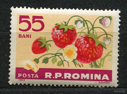 Ягоды и фрукты. Клубника. Румыния. 1963. Чистая