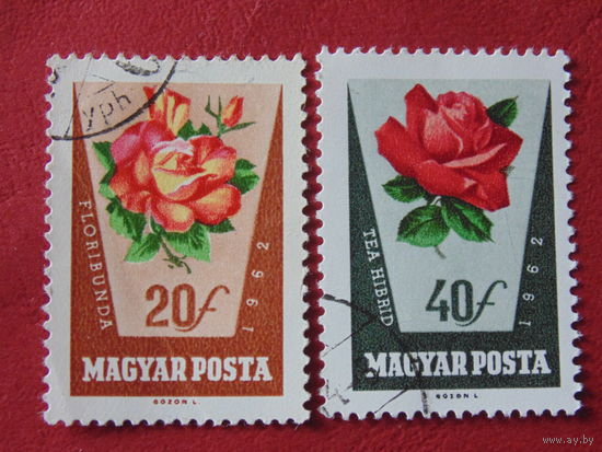 Венгрия 1962 г. Цветы.