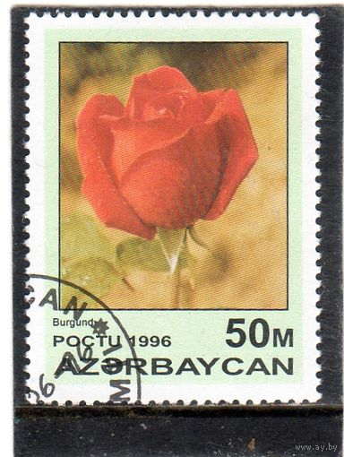 Азербайджан.  Mi:AZ 320. Бургундия Серия: Розы. 1996.