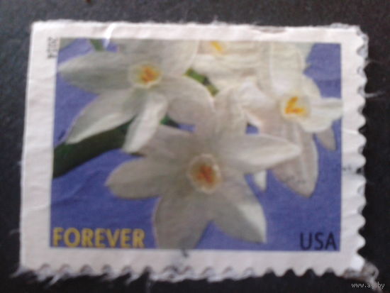 США 2014 цветы