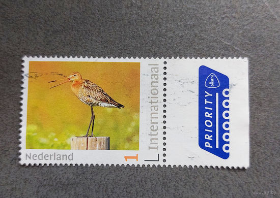 Нидерланды. Персонализированные марки. Птица. Приоритетное