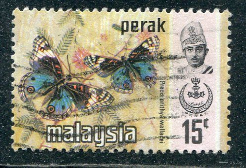Малазийские штаты. Перак. Бабочки