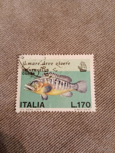 Италия 1978. Рыбы. Epinephelus Guara