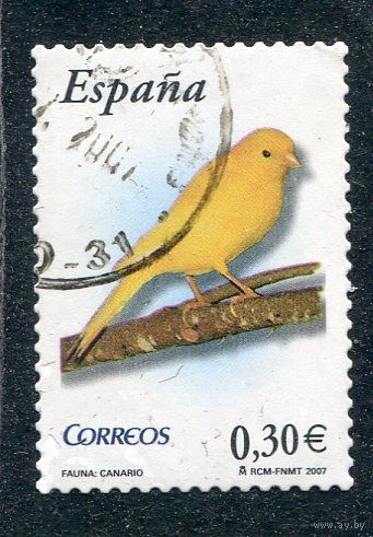 Испания. Птица