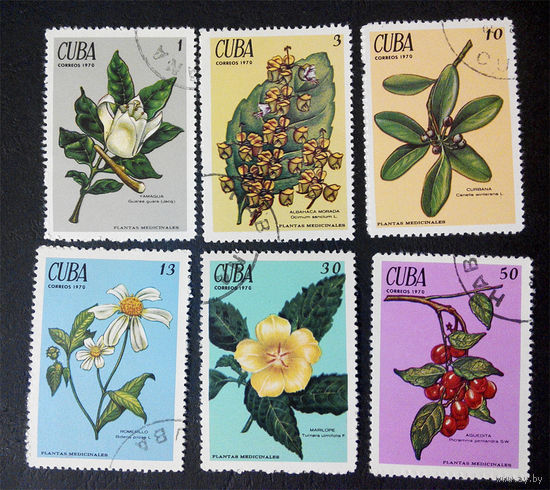 Куба 1970 г. Цветы. Флора, полная серия из 6 марок #0209-Ф1P3