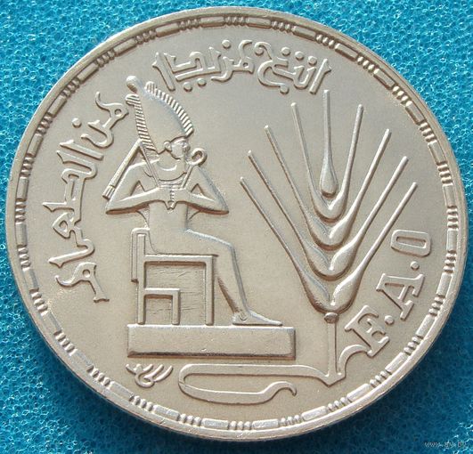 Египет. 1 фунт 1976 года  KM#453  "ФАО"  Тираж: 50.000 шт
