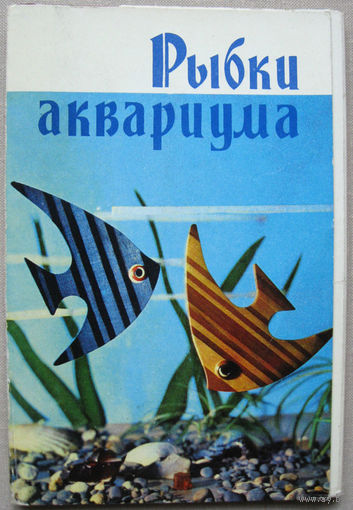 Набор открыток "Рыбки аквариума" (1971) Неполный 16 открыток из 18