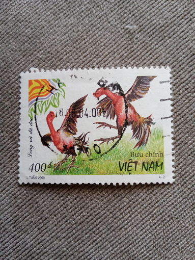 Вьетнам 2000. Петушиные бои