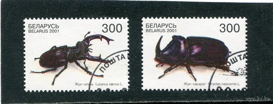Беларусь 2001.. Жуки