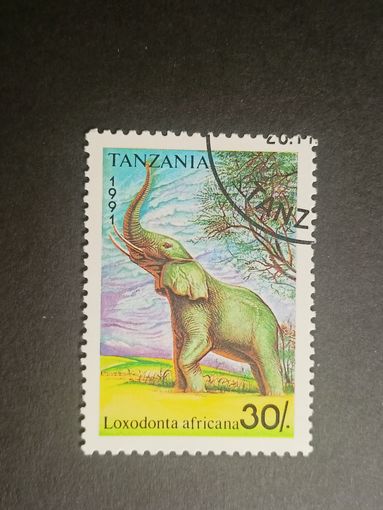 Танзания 1991. Слоны