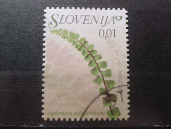 Словения 2009 стандарт, цветы