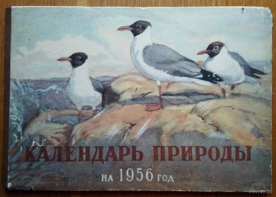 Скребницкий Г. Календарь природы на 1956 год. Для детей и юношества.