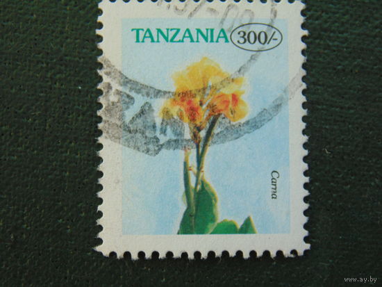 Танзания. Флора.