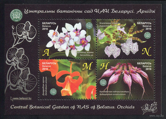 2016_Центральный ботанический сад НАН Беларуси. Орхидеи.