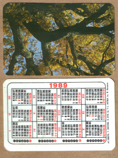 Календарь Природа (08870) 1989