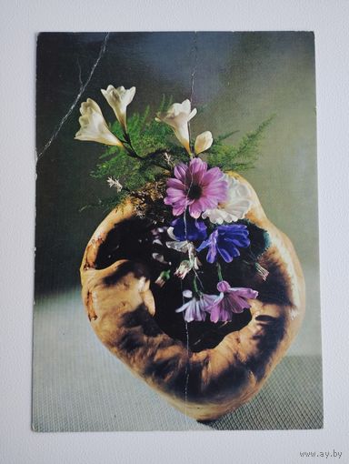 Открытка (почтовая карточка) поздравительная, 1980 г, PRAHA, foto Miroslav Anger