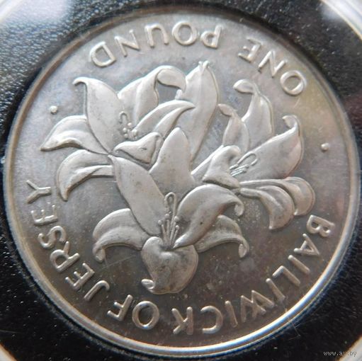 20. Джерси 1 фунт 1972 год, серебро
