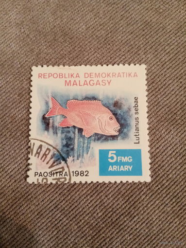 Мадагаскар 1982. Рыбы. Lutianus Sebae