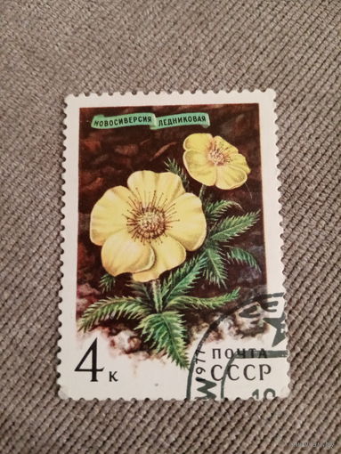 СССР 1977. Цветы. Новосиверсия ледниковая