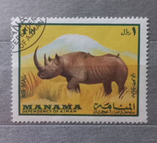 Манама. Фауна. Носорог.