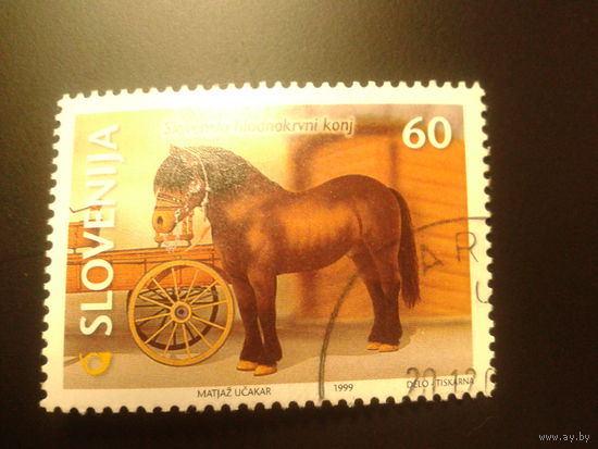 Словения 1999г. Конь