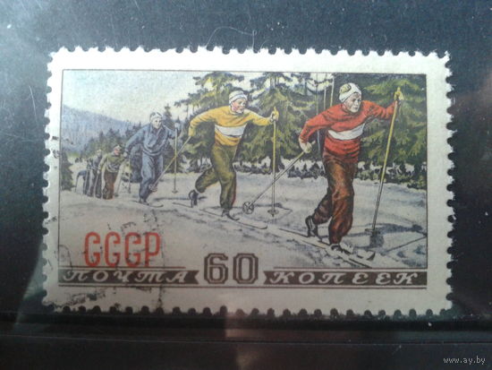 1952, Лыжный спорт